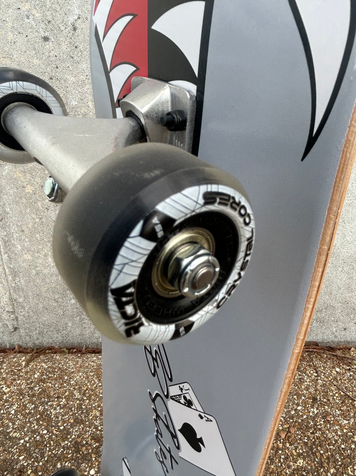 SBSkates Warthog 8" Custom Complete